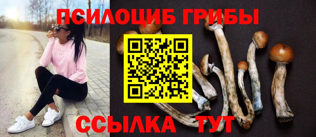 Галлюциногенные грибы мухоморы Ульяновск