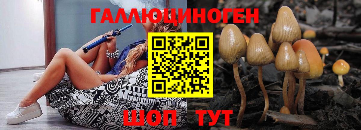 Псилоцибиновые грибы GOLDEN TEACHER  Вход с VPN  Ульяновск  Псилоцибиновые грибы Magic Shrooms 